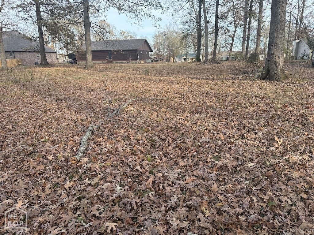 Picture 3