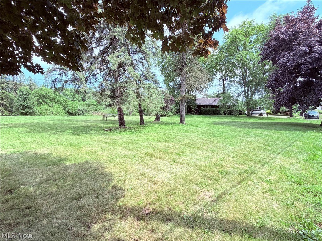 Picture 10