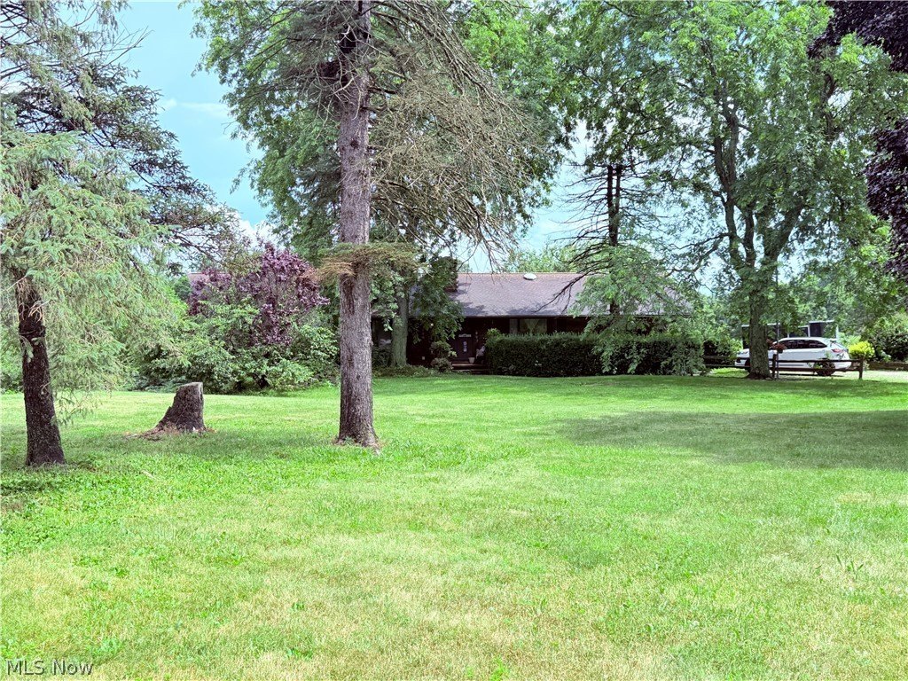 Picture 5