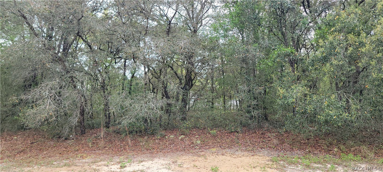 Citrus Springs Land Opportunity