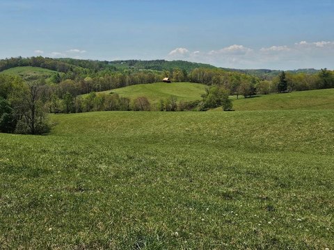 Virginia Cattle Farm with Mountain Views