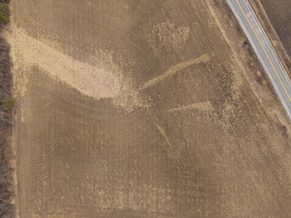 Picture 24