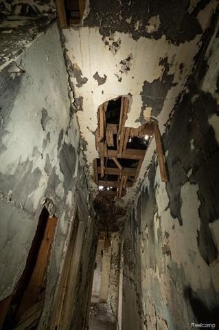 Picture 42