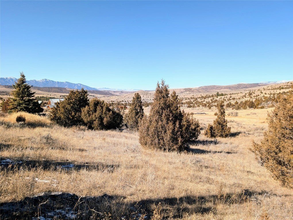 Picture 19