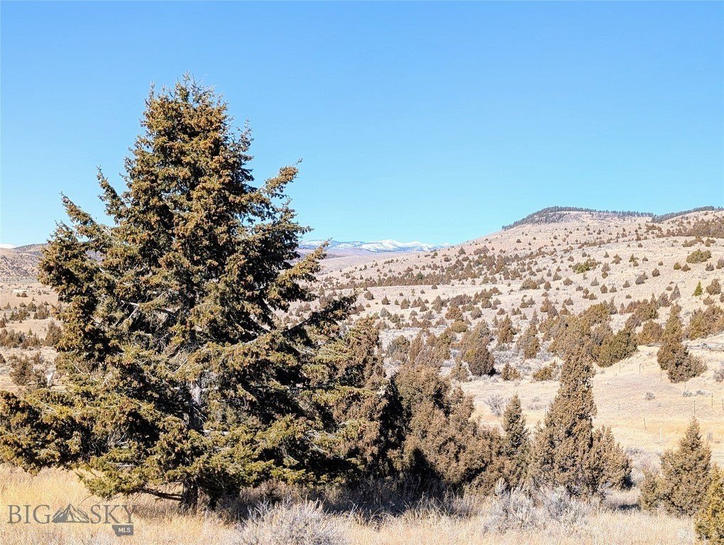 Picture 22