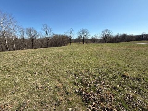 Land, Goodman, MO