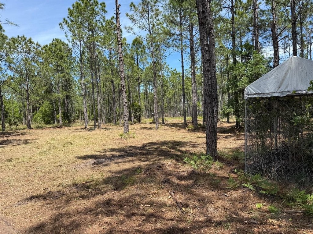 Picture 16