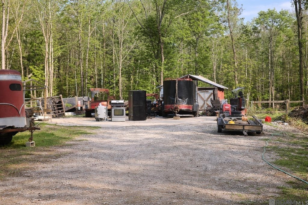 Picture 5