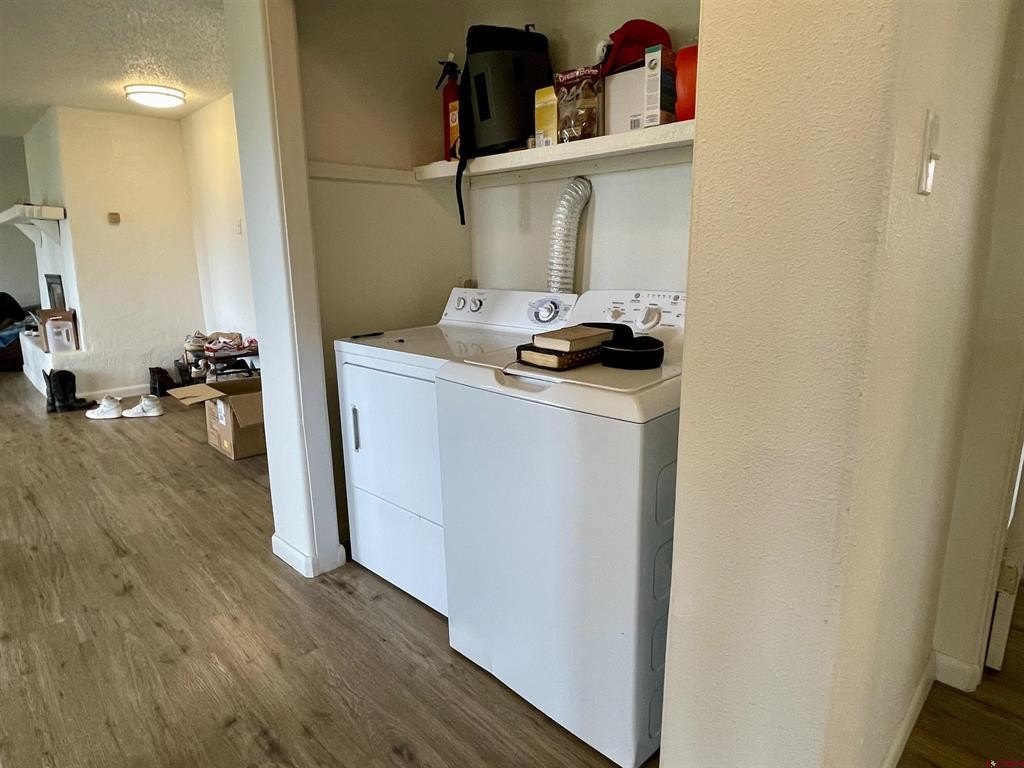 Picture 23
