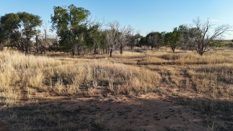 LAND - Lubbock, TX