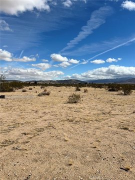 Joshua Tree Secluded Desert Land