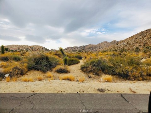 Yucca Valley Land Opportunity
