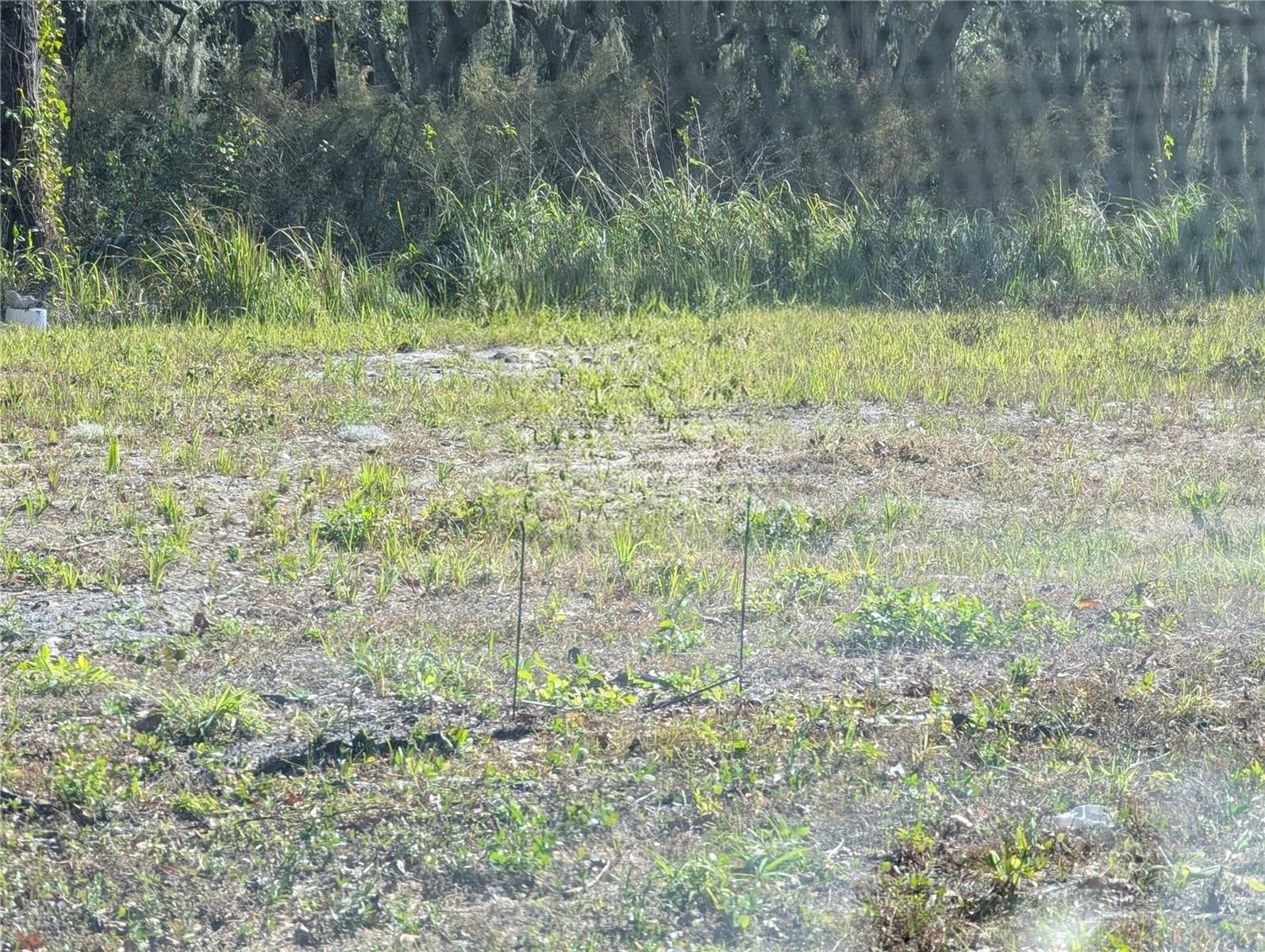 Residential Lot in Mulberry, FL