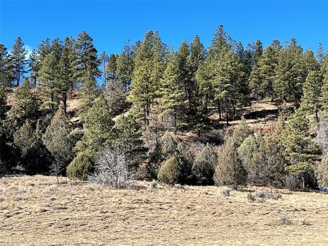 Secluded Mountainous Land in Dulce, NM