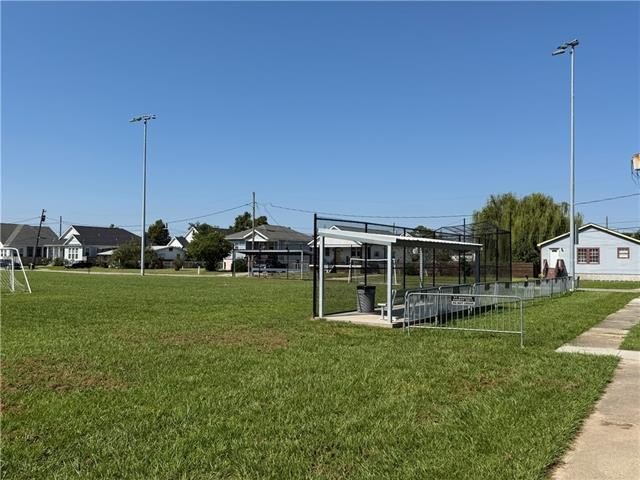 Picture 8
