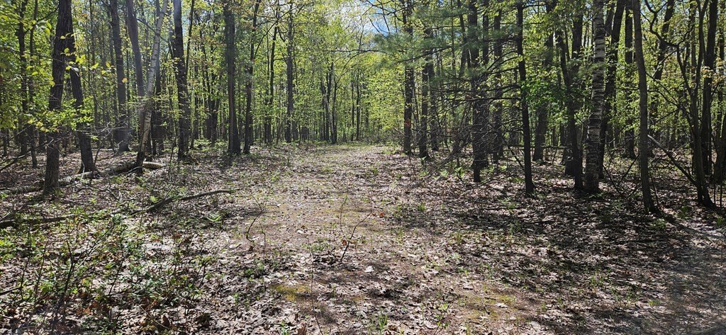 Picture 14