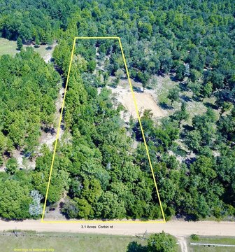 Land, Wicksburg, AL