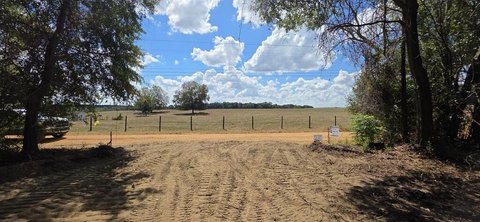 Land, Wicksburg, AL