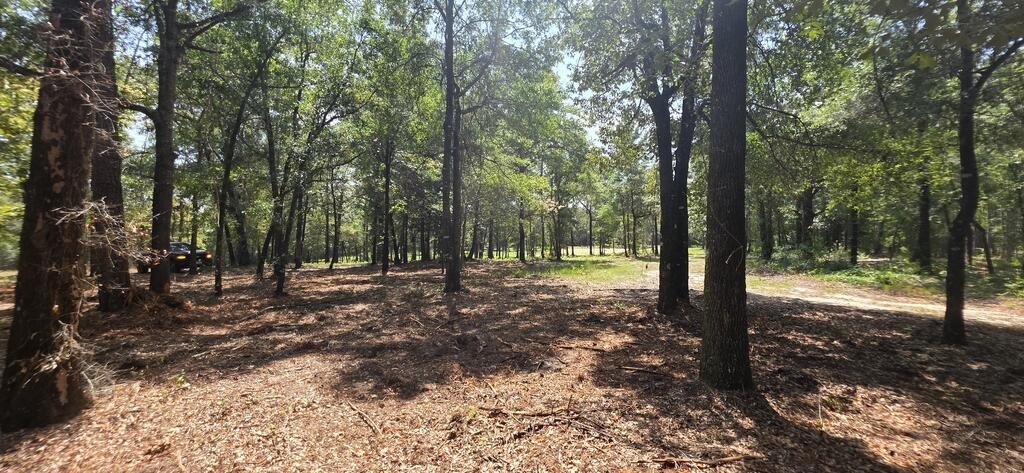 Picture 9
