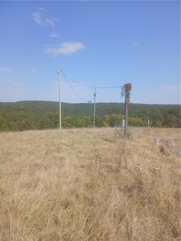 Picture 12