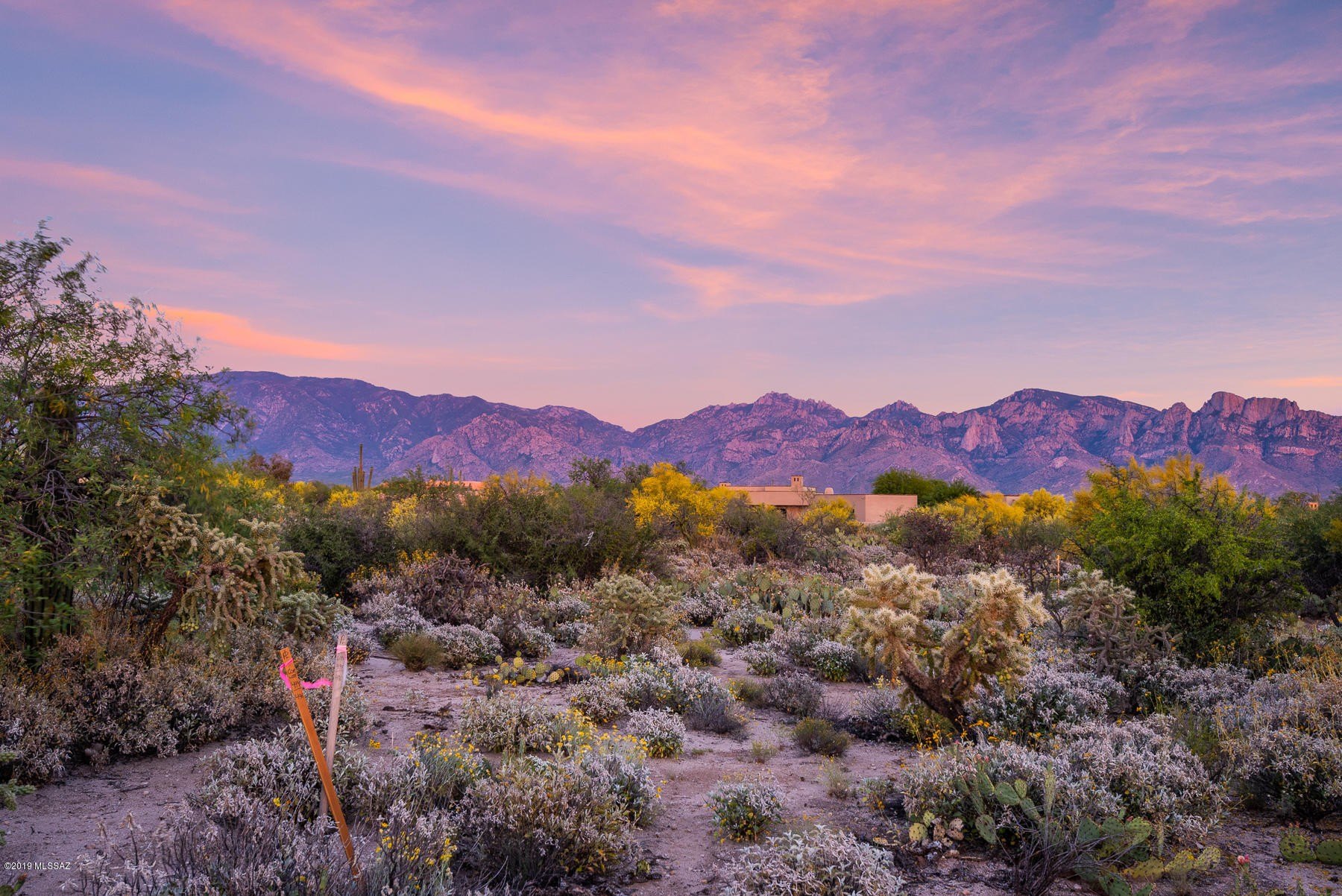 Land in Stone Canyon Community