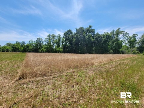 Cleared Flat Unzoned Land Parcel