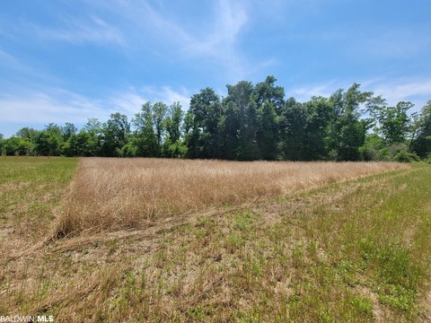 Cleared Flat Land Parcel
