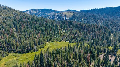 80 Acres in Plumas-Eureka Park