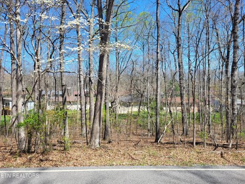 Crossville, TN Wooded Lot