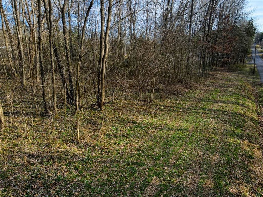 Picture 17
