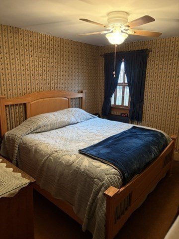 Picture 13