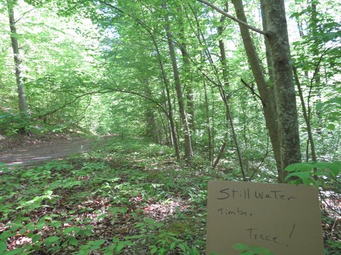 Land in Russell Springs, KY