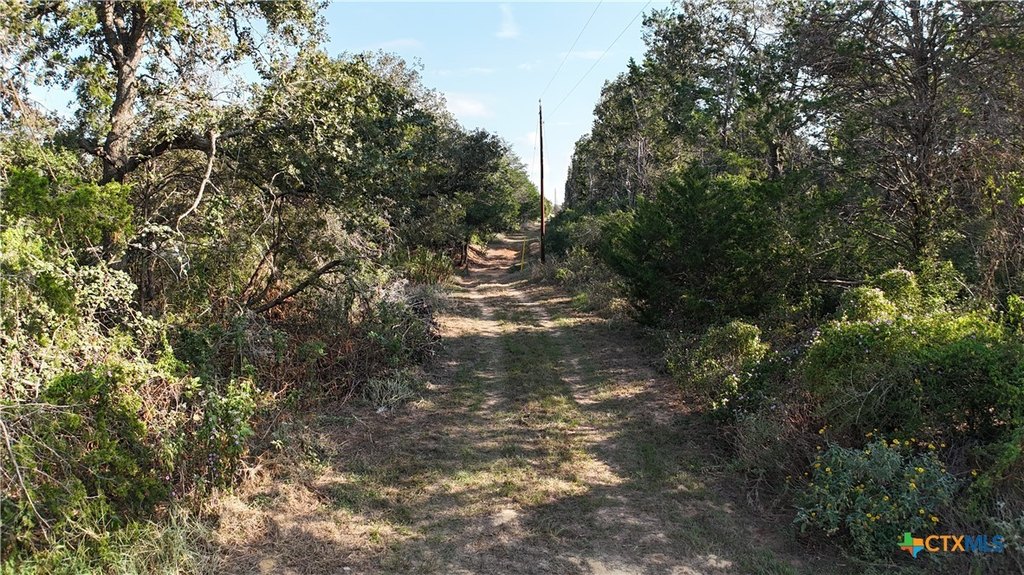Picture 9