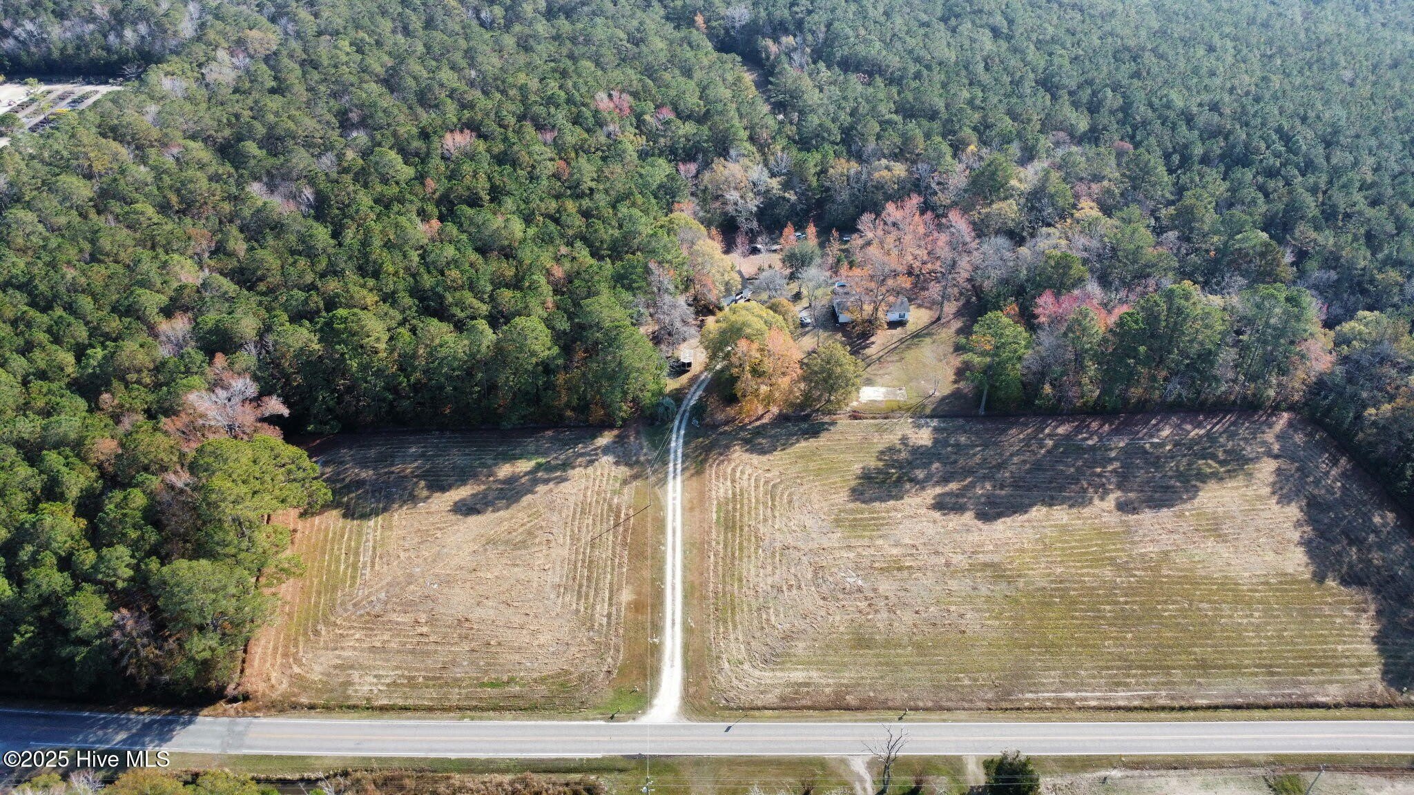89 Acres of Wooded Land