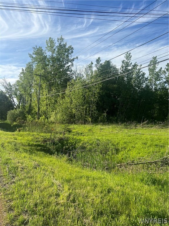 Picture 3