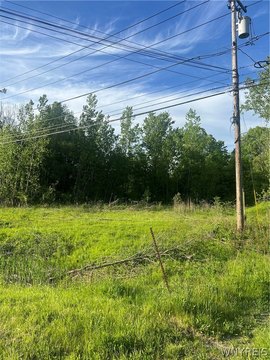 LAND - Orchard Park, NY