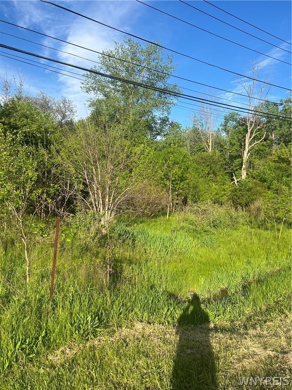 Picture 4