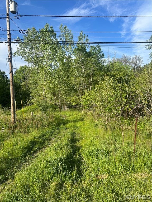 Picture 2