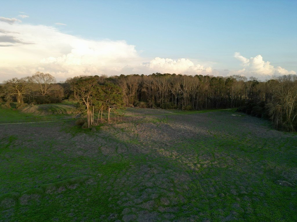Picture 13