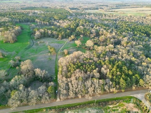 25 Acres in Glenwood, Alabama