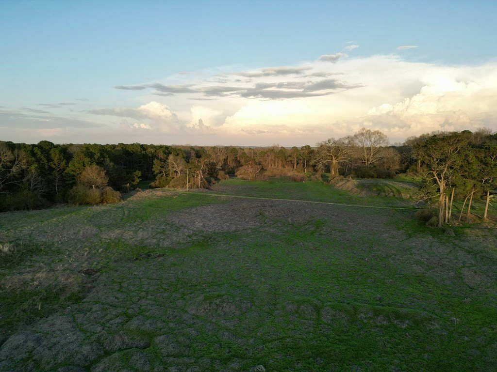 Picture 12