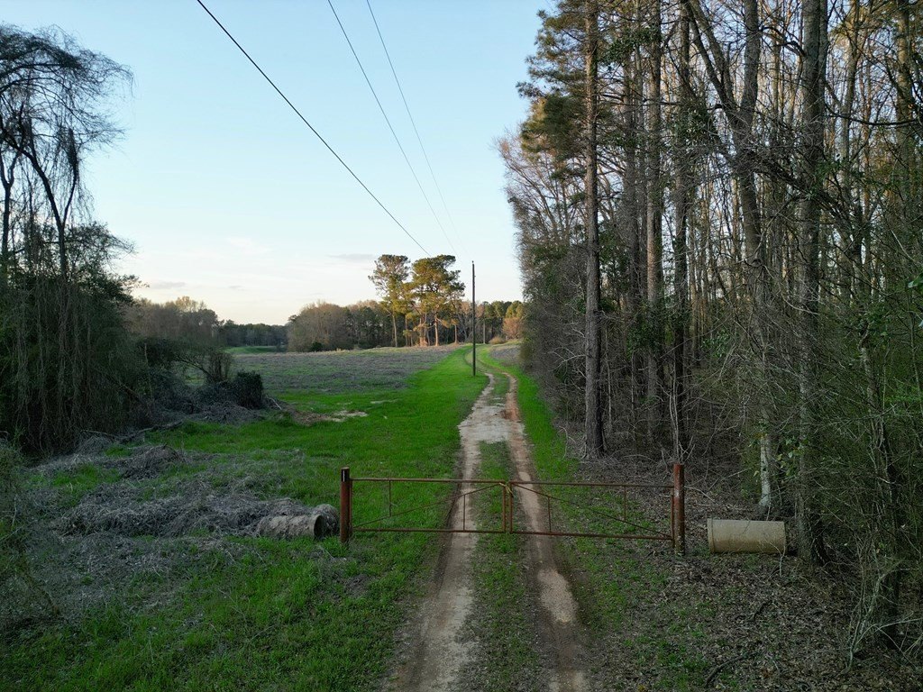 Picture 14