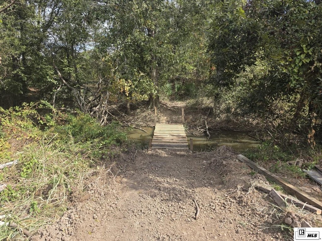 Picture 9