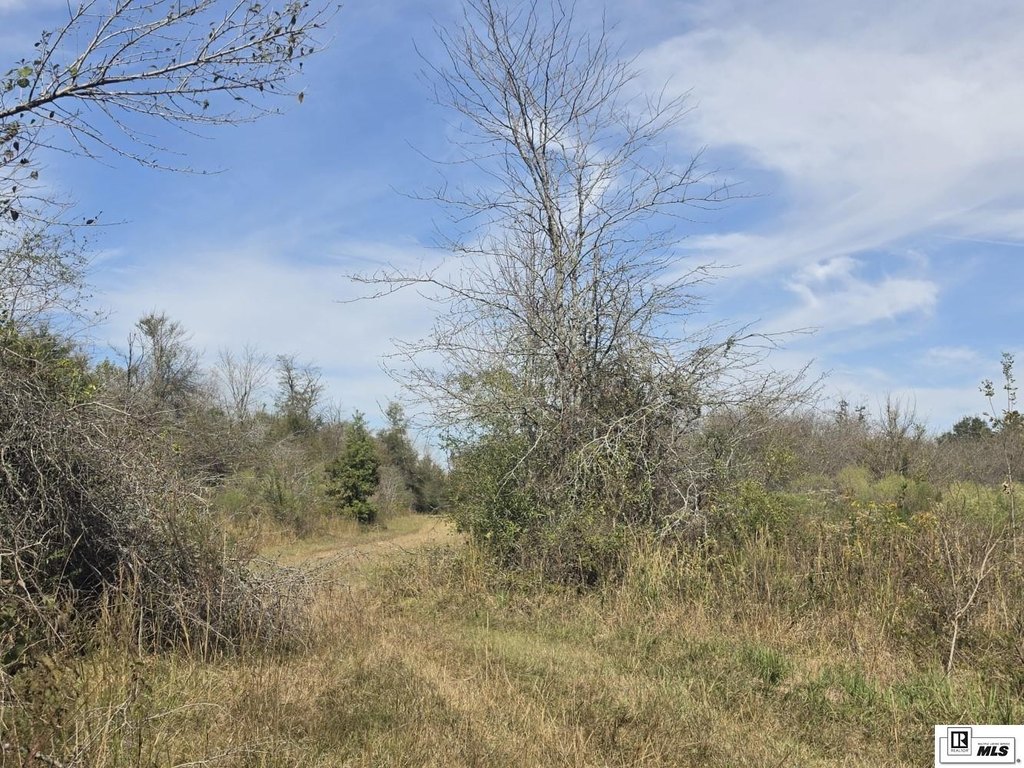 Picture 5