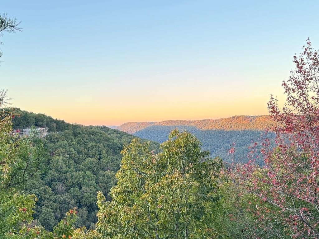 Land with Mountain Views