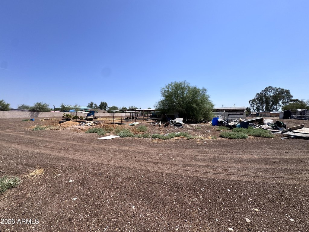 Picture 24