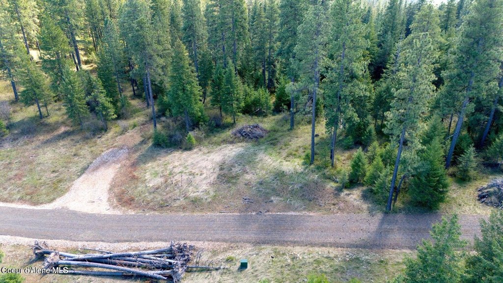 Picture 2