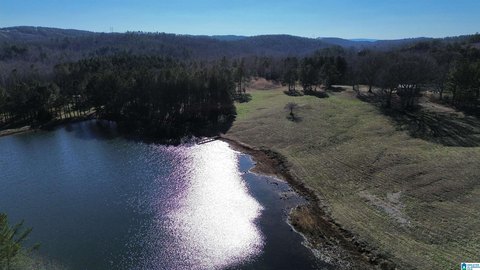 16 Acres in Clay County