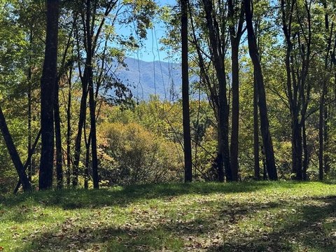 2.26 Acres Mountain View Land