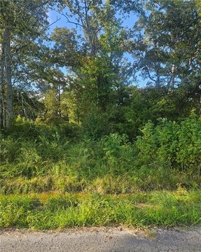 Wooded Lot Near Airport